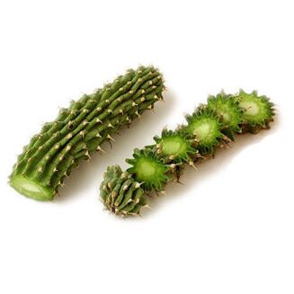 hoodia gordonia - konposizioa Reduslim